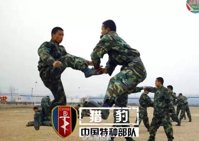 4,西南獵鷹和獵豹(成都軍區的特種部隊)