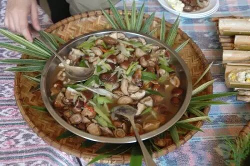 阿里山在哪里_我用尽一生去追求完美与智慧_类似用尽一生去爱的文