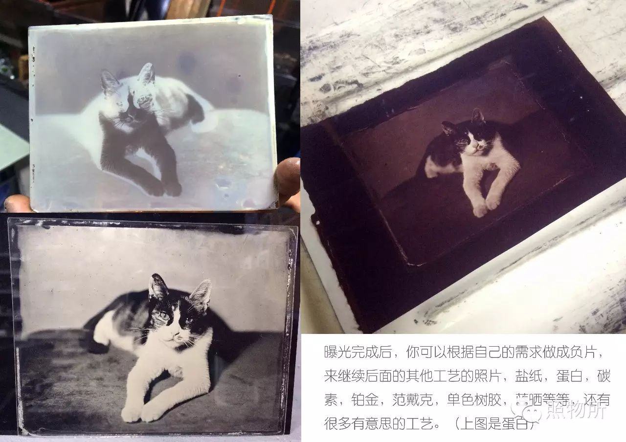 溼版火棉膠攝影教程wetplatecollodionprocess