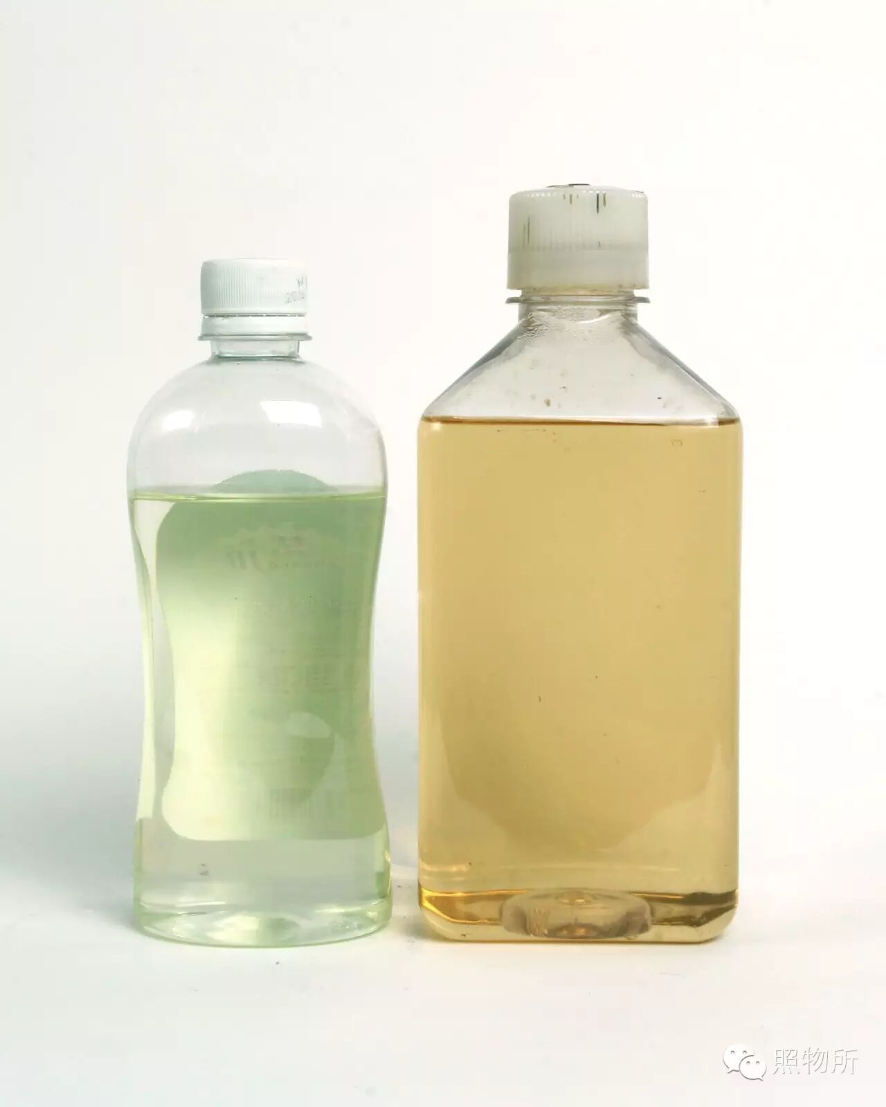 火棉胶婴儿形成原因并不是因为吃鱼虾导致的,这是一种罕见遗传病,概率