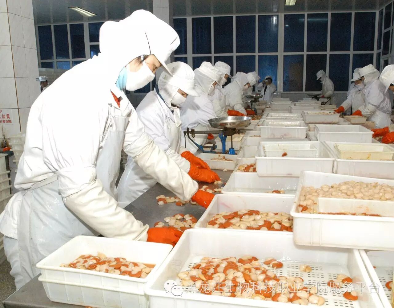 水产技术与环境工程系专业纵览