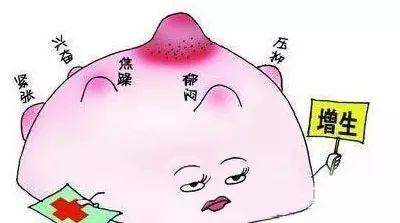 听说燕窝有激素，乳腺增生到底能不能吃燕窝？