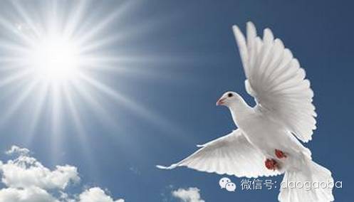 天主教徒门愚蠢的借口