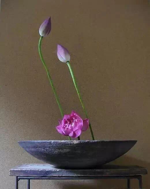 居室三雅 茶道 花道 香道 中華傳統文化 微文庫