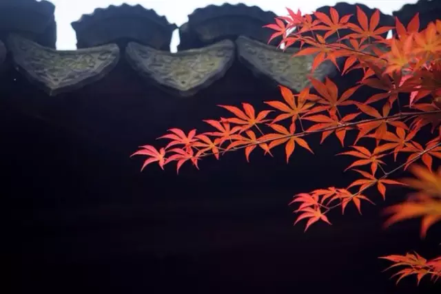 红木家具图片
