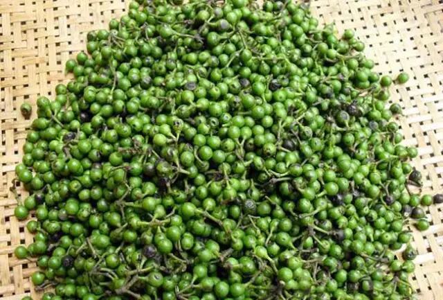 木姜子,全身都是宝