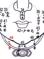 手掌痣相图解男_手掌图解男左女右_手掌图算命男
