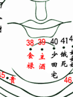 手掌痣相图解男_手掌图解男左女右_手掌图算命男