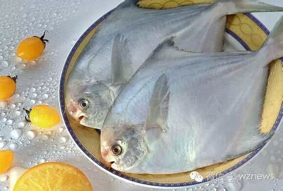 鲳鱼水潺乌鳞鲳对虾竹蛏九节虾lawa,跳鱼蝤蠓虎,乌塘鳢凤鲚大筐蟹,招