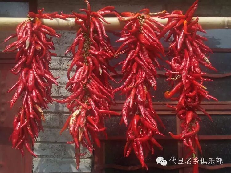 魅力代县特产篇▏代县辣椒