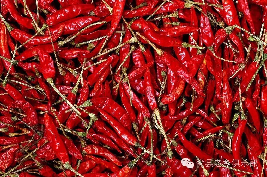 魅力代县特产篇▏代县辣椒