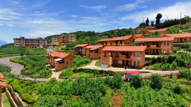 富民强村路上的"领头雁"——记峨边彝族自治县新林镇茗新村党支部书记