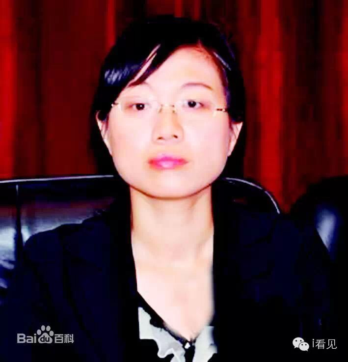 2013年1月,有网友对董海涛"80后"即晋升副市长表示质疑.