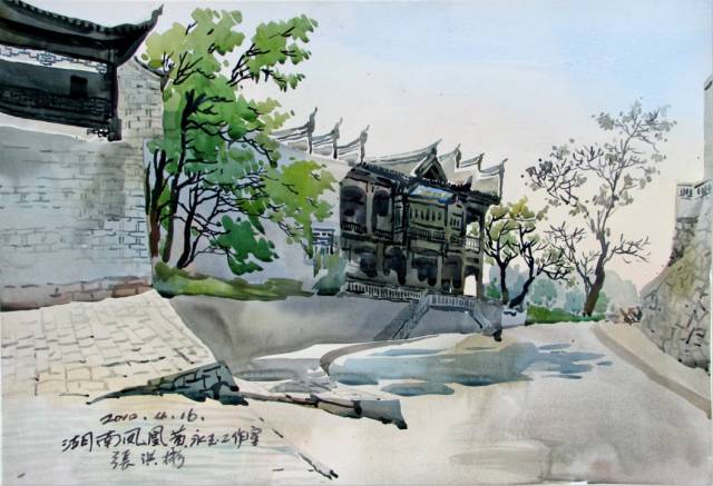 凤凰写生之十三