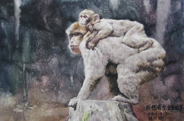 我想有个安全的家