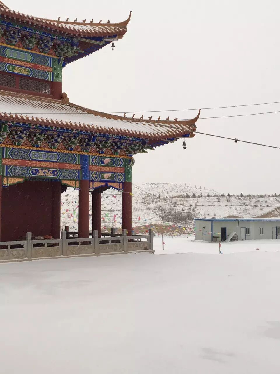 大安法师修行日记 16年2月12日 自媒体文章 搜文章到全网
