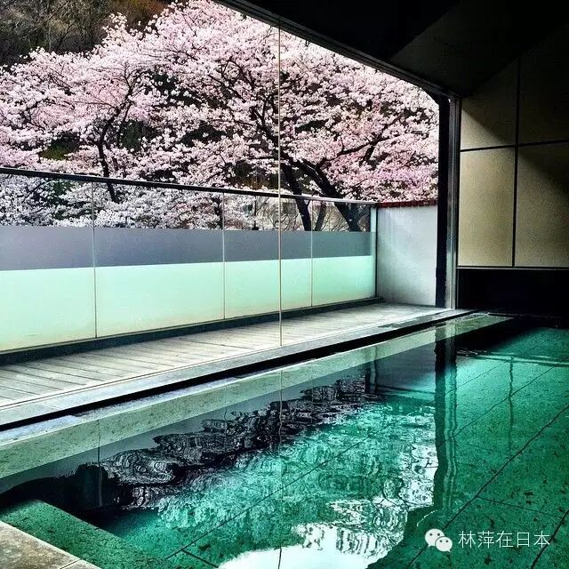 只有在日本才能体验的享受 樱花下的温泉旅馆 文章