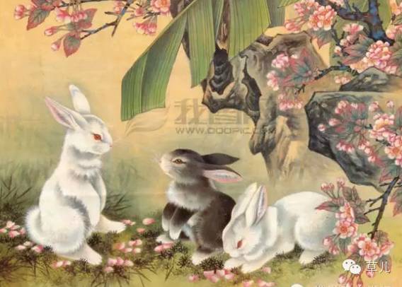 兔和蛇38年才一次为属兔属蛇的传一下哦