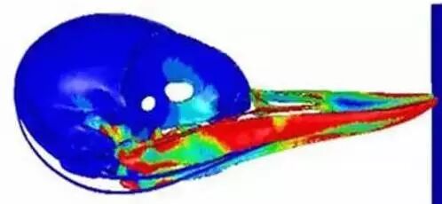 【5/13更新】一天能怼上万次，啄木鸟啄木头时不会脑震荡吗？的图13