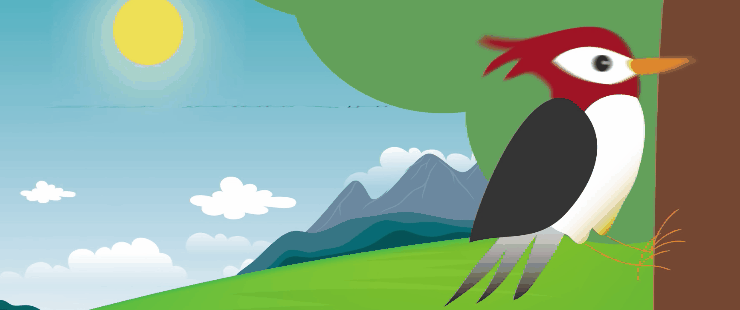 【5/13更新】一天能怼上万次，啄木鸟啄木头时不会脑震荡吗？的图3