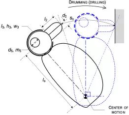 【5/13更新】一天能怼上万次，啄木鸟啄木头时不会脑震荡吗？的图12