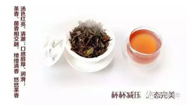 黑茶真的是越久越香吗?古董茶的秘密