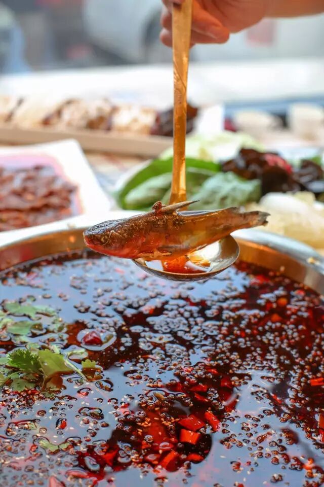 一家开在4星级酒店楼下的重庆火锅,人均竟然只要70,80