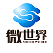 微世界(大连)网络科技有限公司
