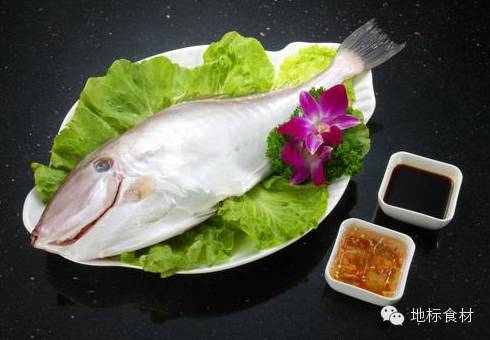 潮汕俗名:迪仔,剔皮鱼在上海和闽浙一带称橡皮鱼,在北方称猪油,皮匠鱼