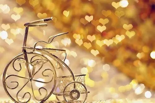 优化圈子:圈子决定未来!