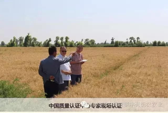 亚游集团,食品安全的引領者