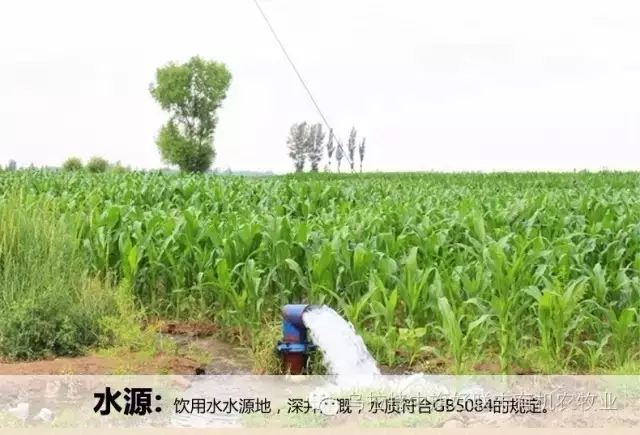 亚游集团,食品安全的引領者