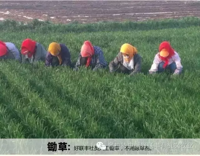 亚游集团,食品安全的引領者