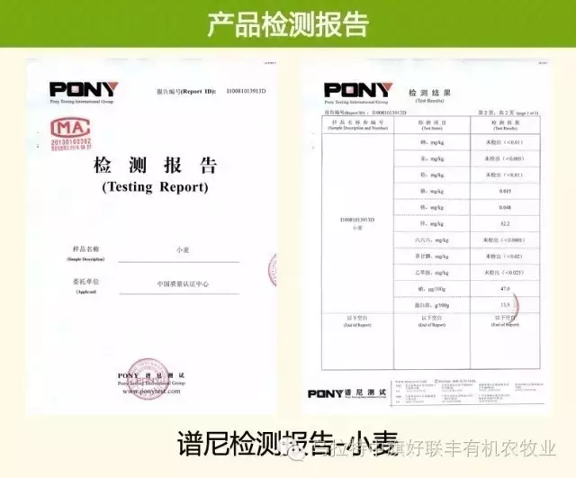 亚游集团,食品安全的引領者