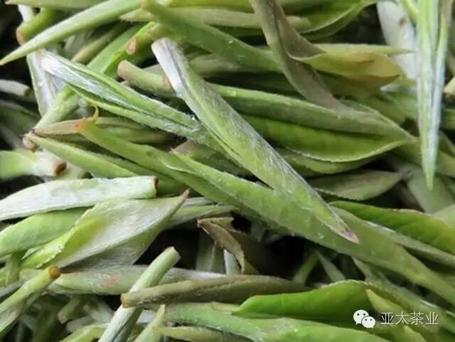 故"浮瑶仙芝"茶具有:条索紧细,白毫微显,色泽翠绿,兰花高香,汤色明亮