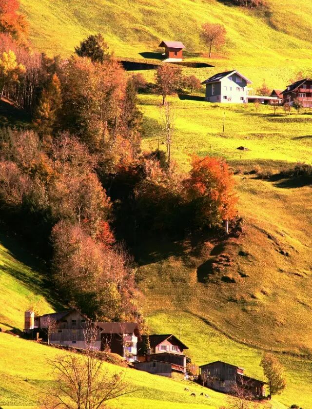 夏天和秋天的对比照片简直美翻了