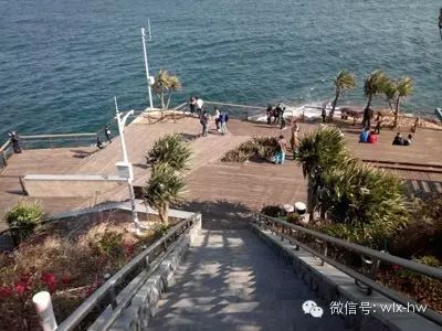 (6)3月24/25日（两期）深圳盐田海滨栈道徒步，畅游大梅沙，感受醉美海岸行！-户外活动图-驼铃网