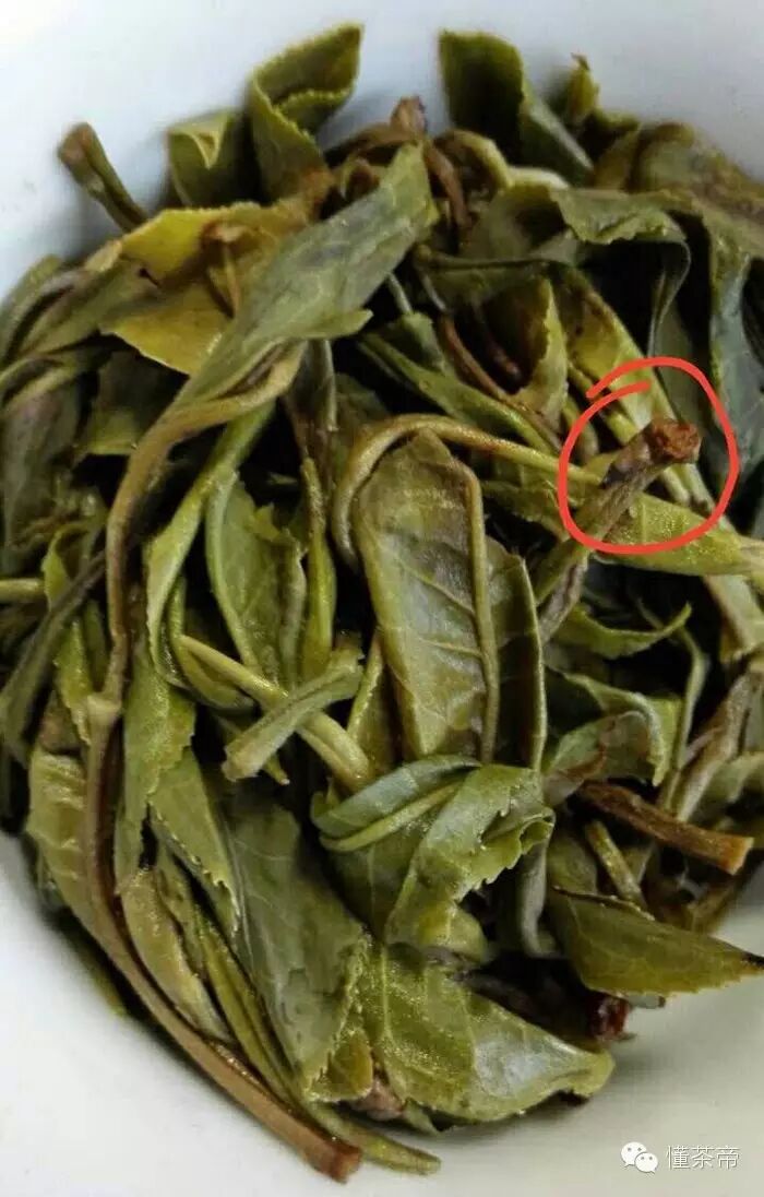 广西优质茶叶交流组