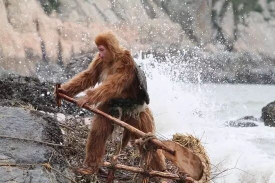 寻仙东山岛怎么去鸡皮疙瘩(寻仙手游东山岛的探索任务在哪里)