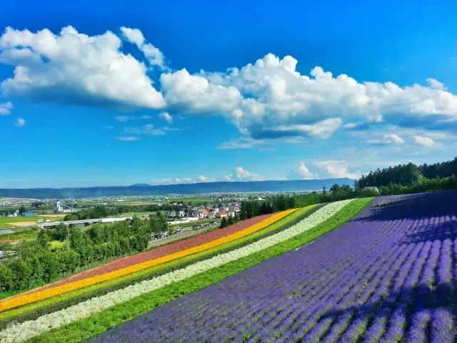 日本 北海道旅游攻略 其实夏天要比冬天更好玩 北海新闻