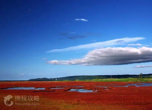 日本 北海道旅游攻略 其实夏天要比冬天更好玩 北海新闻