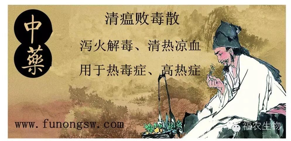 清瘟败毒散泻火解毒清热凉血用于热毒症高热症