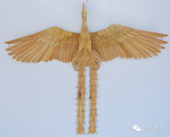 一饱眼福你见过木鸢竹鸢金鸢吗
