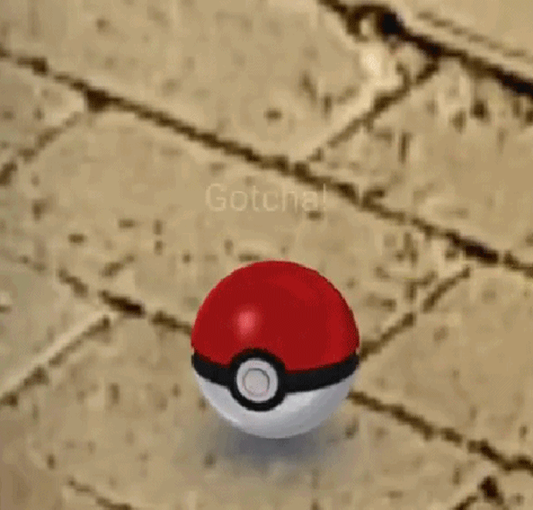 750_718gif 动态图 动图