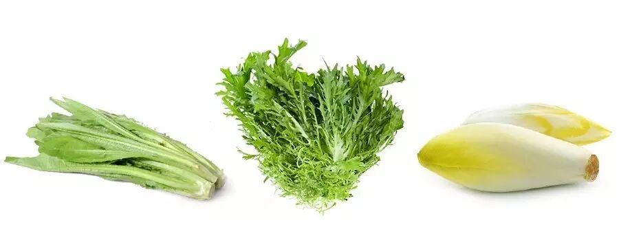 這些沙拉顏值擔當 其實都叫生菜 食帖 微文庫