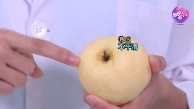 我是砀山人我为砀山人正名之一选梨大法