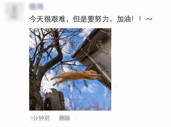 自从我爸妈加了我微信后，我整个人都正常多了