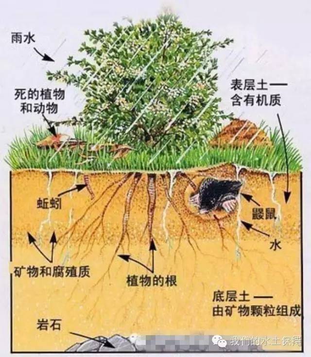 生地和熟地图片区别图片