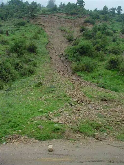 什么是泥石流呢？的图17