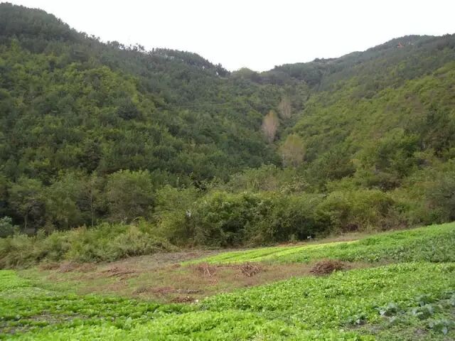 什么是泥石流呢？的图11